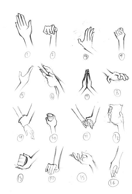 การวาดมือ – Drawing Basics
